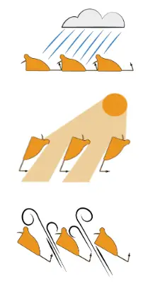 icone principe lame pergola bio Lumera